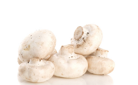 French Mushrooms : What are the French mushrooms called?