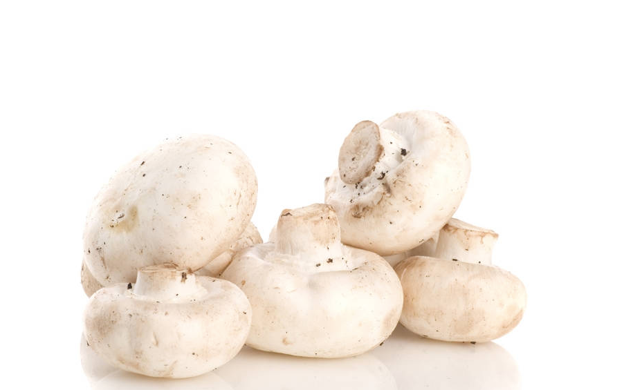 Champignons français : Comment s'appellent les champignons français ? 