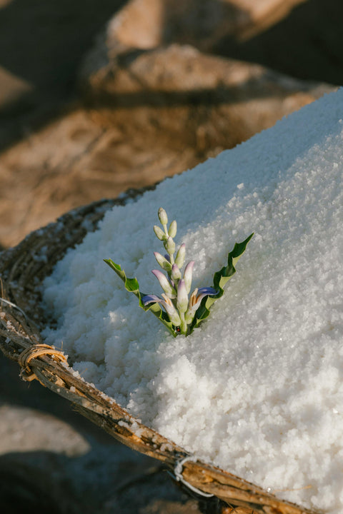 The Secret Life of a French Ingredient: Fleur de Sel